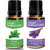 ZAAI NATURALS Combo of Basil  Lavender  Natural  Pure Essential Oil - 15ML (100 pure)
