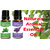 ZAAI NATURALS Combo of Basil  Lavender  Natural  Pure Essential Oil - 15ML (100 pure)