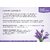 ZAAI NATURALS Combo of Basil  Lavender  Natural  Pure Essential Oil - 15ML (100 pure)
