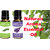 ZAAI NATURALS Combo of  Rosemary  Lavender  Natural Essential Oil - 15ML (100 pure)
