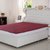 The Intellect Bazaar Waterproof And Dustproof  Single Bed Fitted Mattress Protector (3672) inches,Maroon