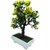 Random 3 Branched Artificial Bonsai Tree with Green Leaves and Yellow Flowers
