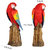 Wonderland Scarlet Macaw sitting on tree