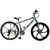 BALZAC Mountain Bicycle with Aluminum frame and 26 magnesium alloy wheels,whiteblue