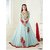 The Woman Taxfeb classic Ashirwad Sky Blue Fox Georgette with Embroidery Work