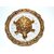 Agarwal Trading Corporation Oxidized Golden Metal Tortoise on Glass Plate For Good Luck feng shui Gift Item For Vaastu H