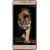 Coolpad Note 5 Lite 16GB-3GB-4G VoLTE- 6 Months Manufacture Warranty(ROYAL GOLD)