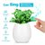 Smart Bluetooth Speaker Touch Piano Music Playing Rechargeable Wireless Flower Pots with Night Light