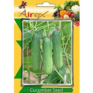 Airex Cucumber (Kheera) Vegetables Seeds (1 Packet Of Cucumber) Pack Of 50 Seeds*1 Per Packet