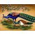 pickok painting, bird painting