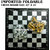 Protoner Foldable Chess Board With Attractive Finishing And Coloured Coins 10 X 10