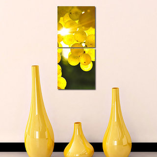 Groups Of Awala Wall Art Painting -2 Frames (76x25 Cm) 2Frames0032