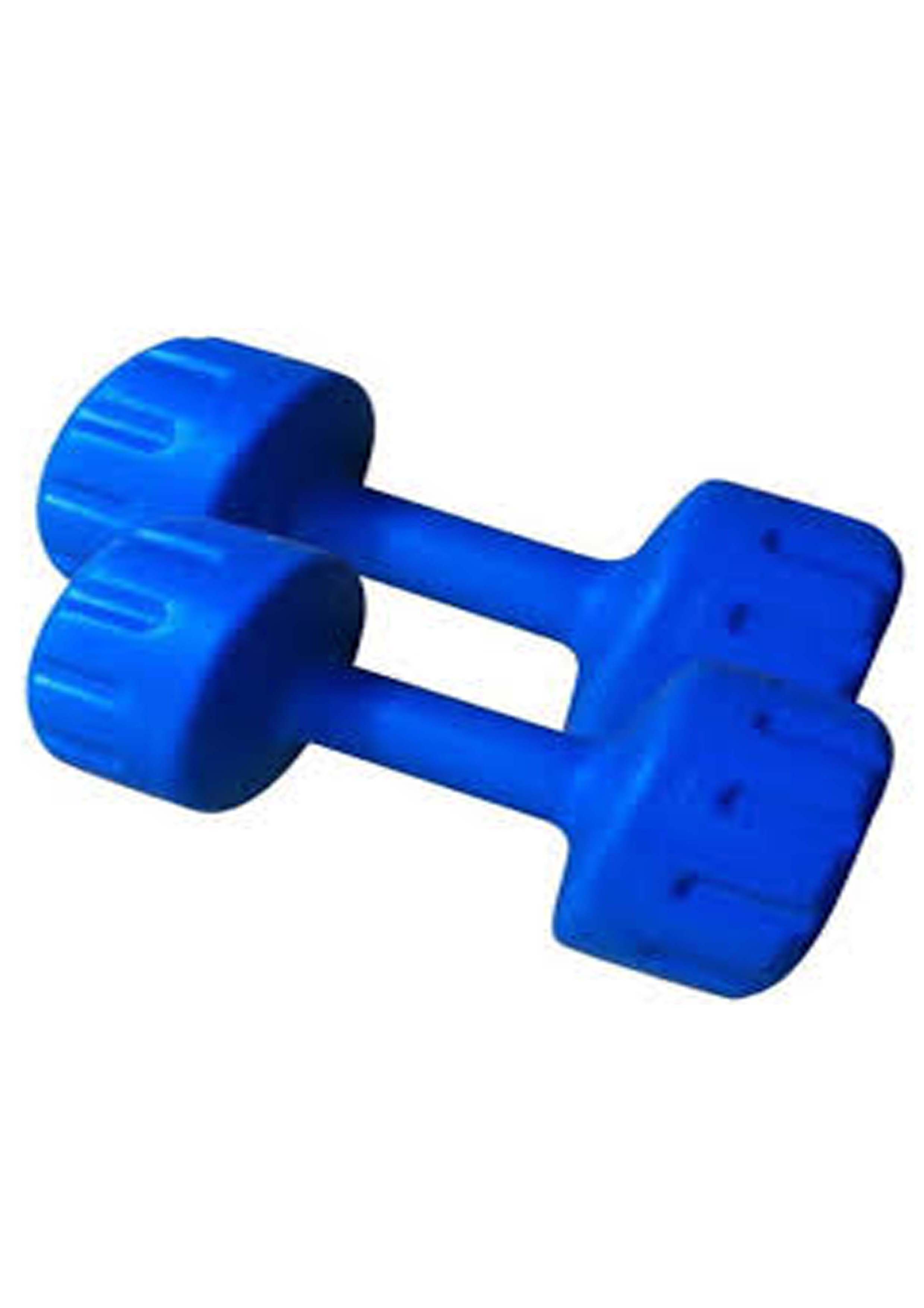 Buy VK PVC BLUE DUMBBELLS ( 1K2) Online @ ₹449 from ShopClues