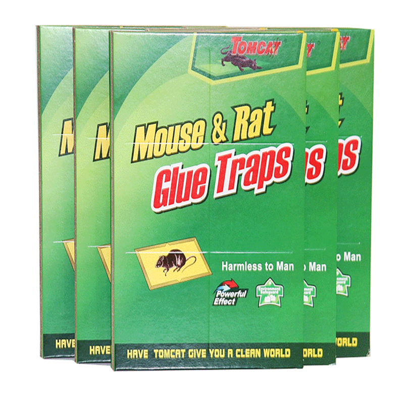 Buy Right Traders Mouse Glue Pad/ Rat Catching Pad (Set of 3) Online