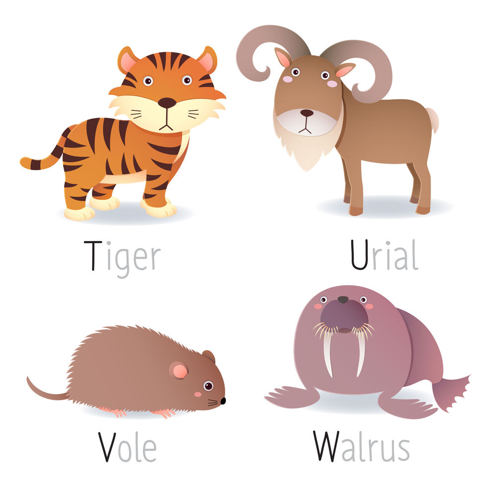 buy-animal-chart-of-tuvw-alphabets-and-numbers-wall-sticker-paper