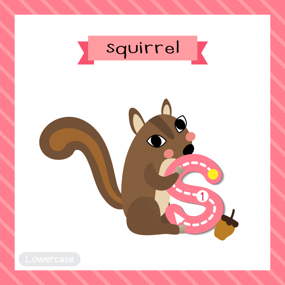 Buy children s for squirrel chart Alphabets and numbers wall sticker