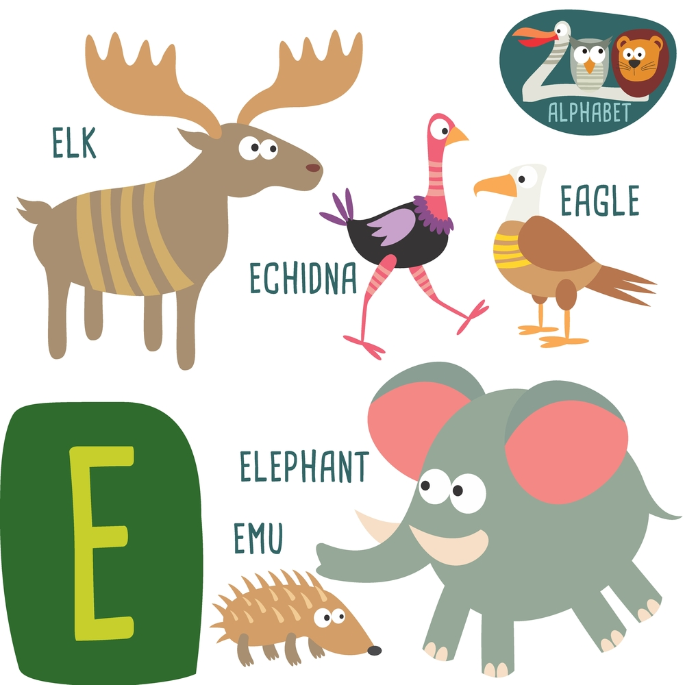 Buy alphabet chart of animal start with e Alphabets and numbers wall sticker paper poster