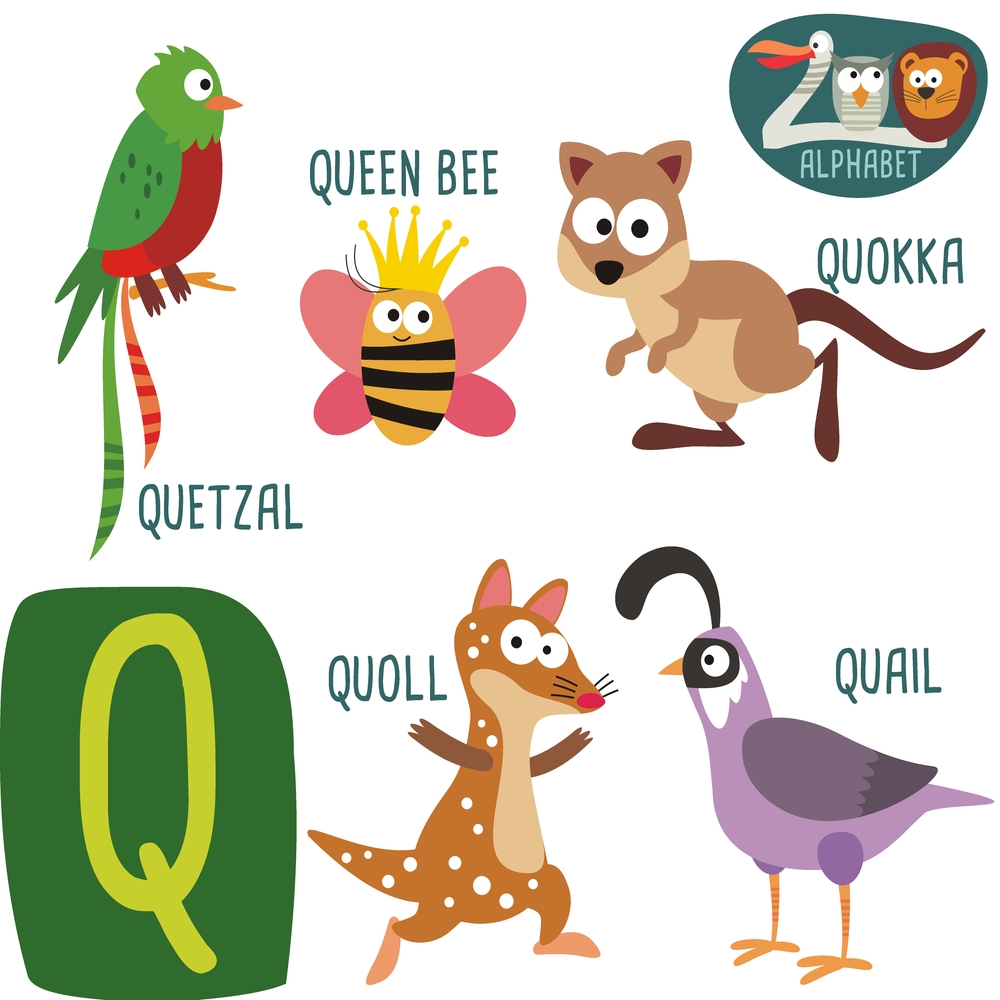 buy-alphabet-chart-of-animal-start-with-q-alphabets-and-numbers-wall