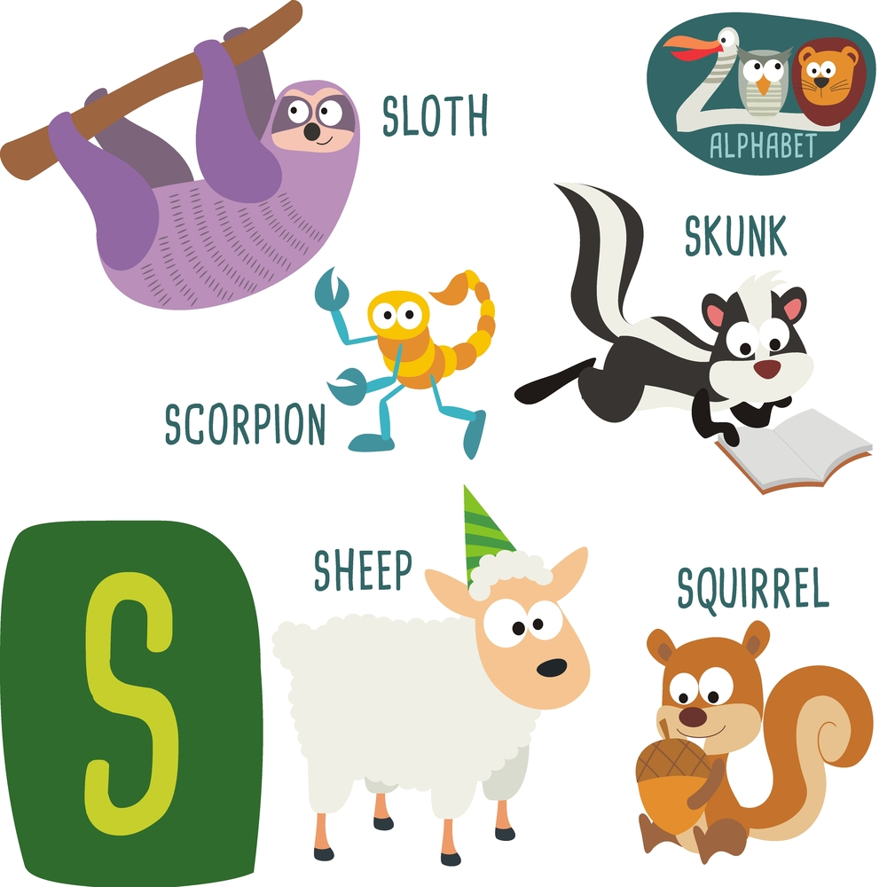 Buy alphabet chart of animal start with s Alphabets and numbers wall