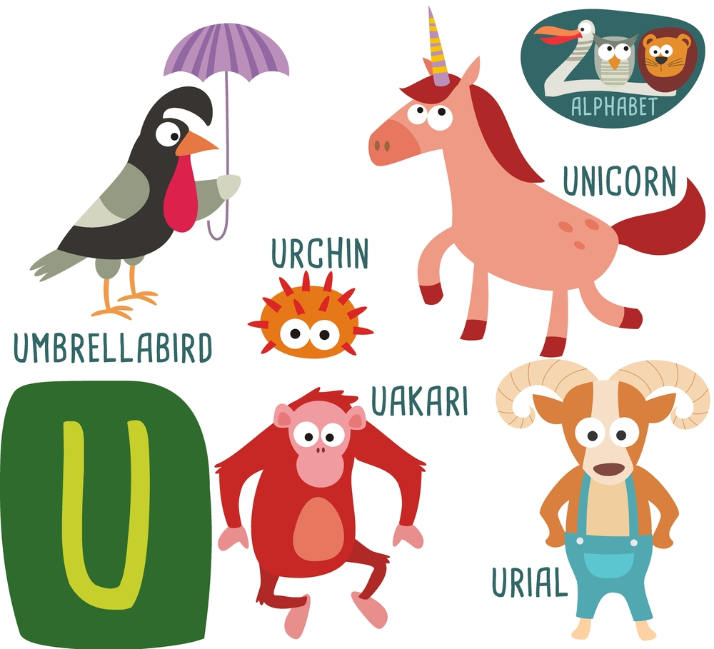 Buy alphabet chart of animal start with u Alphabets and numbers wall ...