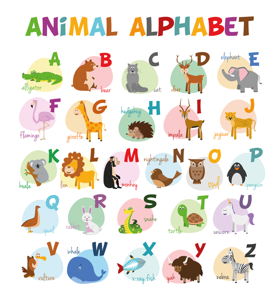 Alphabet Chart Animal Alphabet Chart Animals Chart Etsy Images And ...
