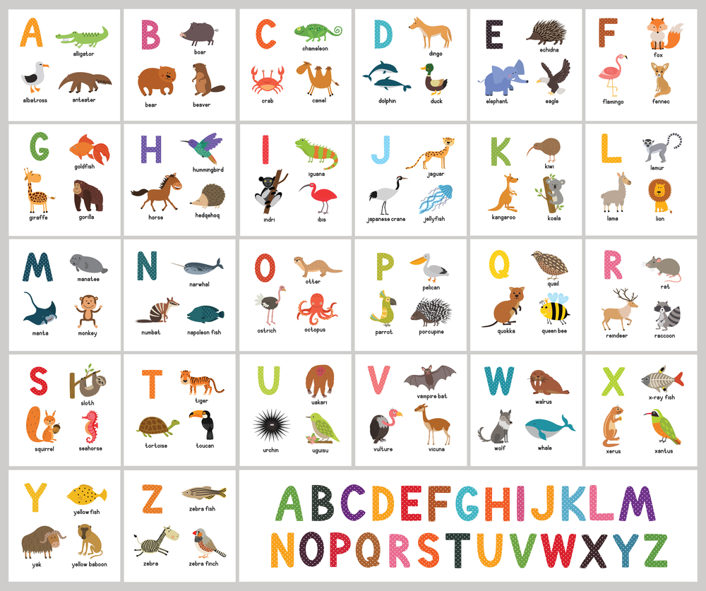 Buy animals alphabets Alphabets and numbers wall sticker paper poster ...