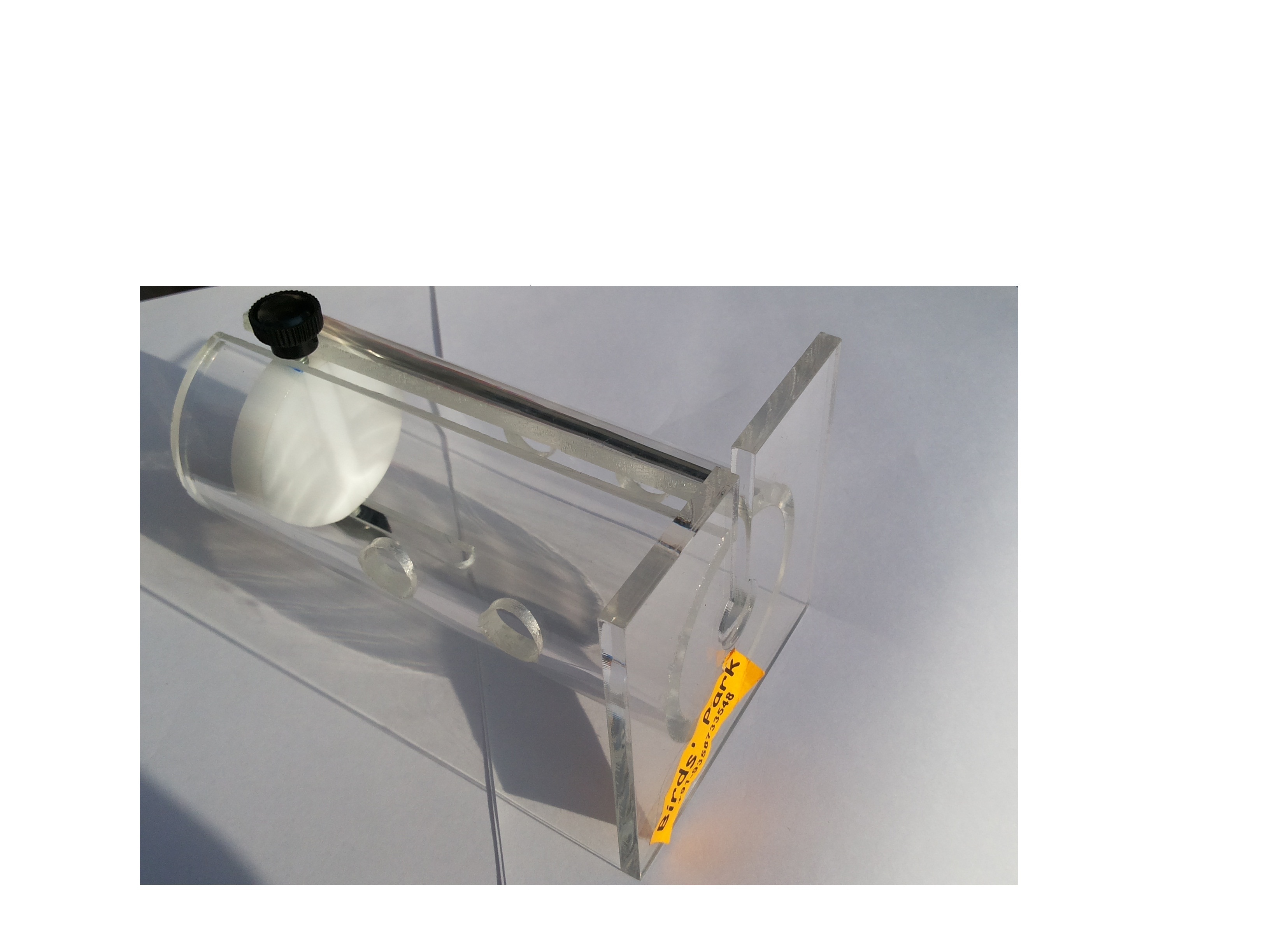 Buy Rat Restrainer Albino Rat Restrainer Acrylic Transparent Online