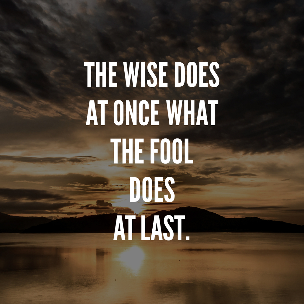 Buy The Wise Does All Time Posters Sticker Paper Poster 12x18 Inch 