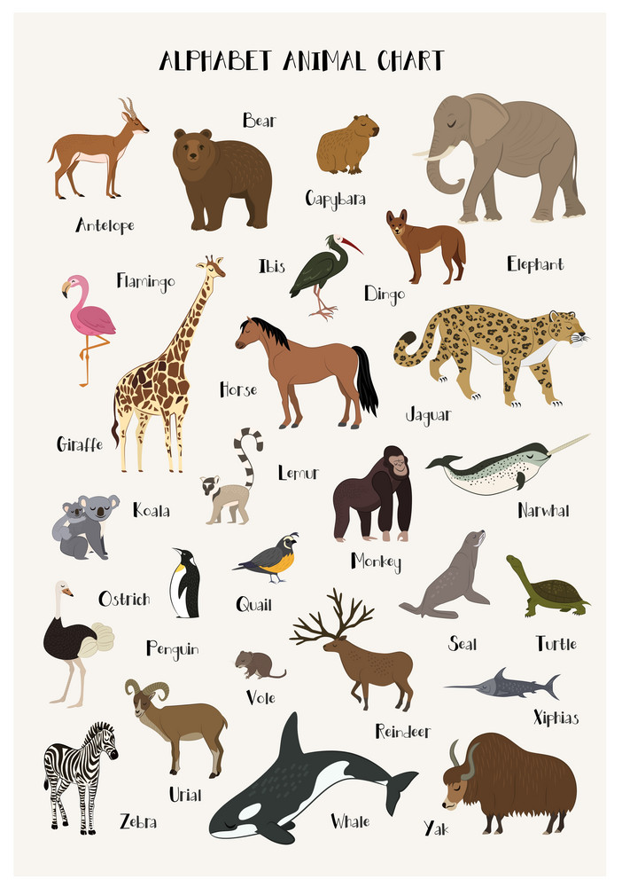 Buy animal alphabet chart |Kids Room Posters| |Sticker Paper Poster ...
