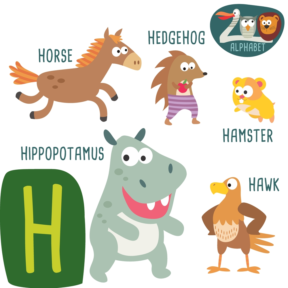 Buy 5 Ace alphabet chart of animal start with h wall sticker poster ...