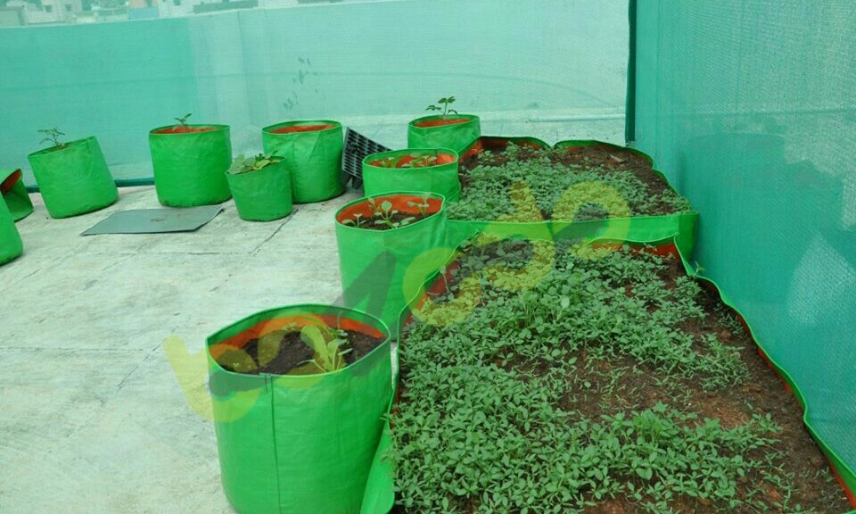 Buy Hdpe Grow Bag 10 Nos Size 12 X 12 Inch ( 1 X 1 Feet) Terrace