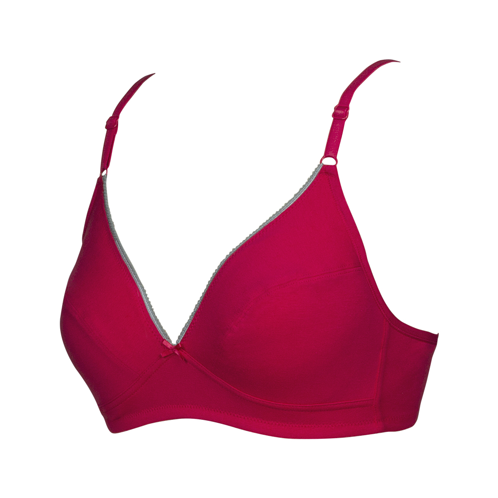 Buy Blossom Plunge Bra Online @ ₹380 from ShopClues