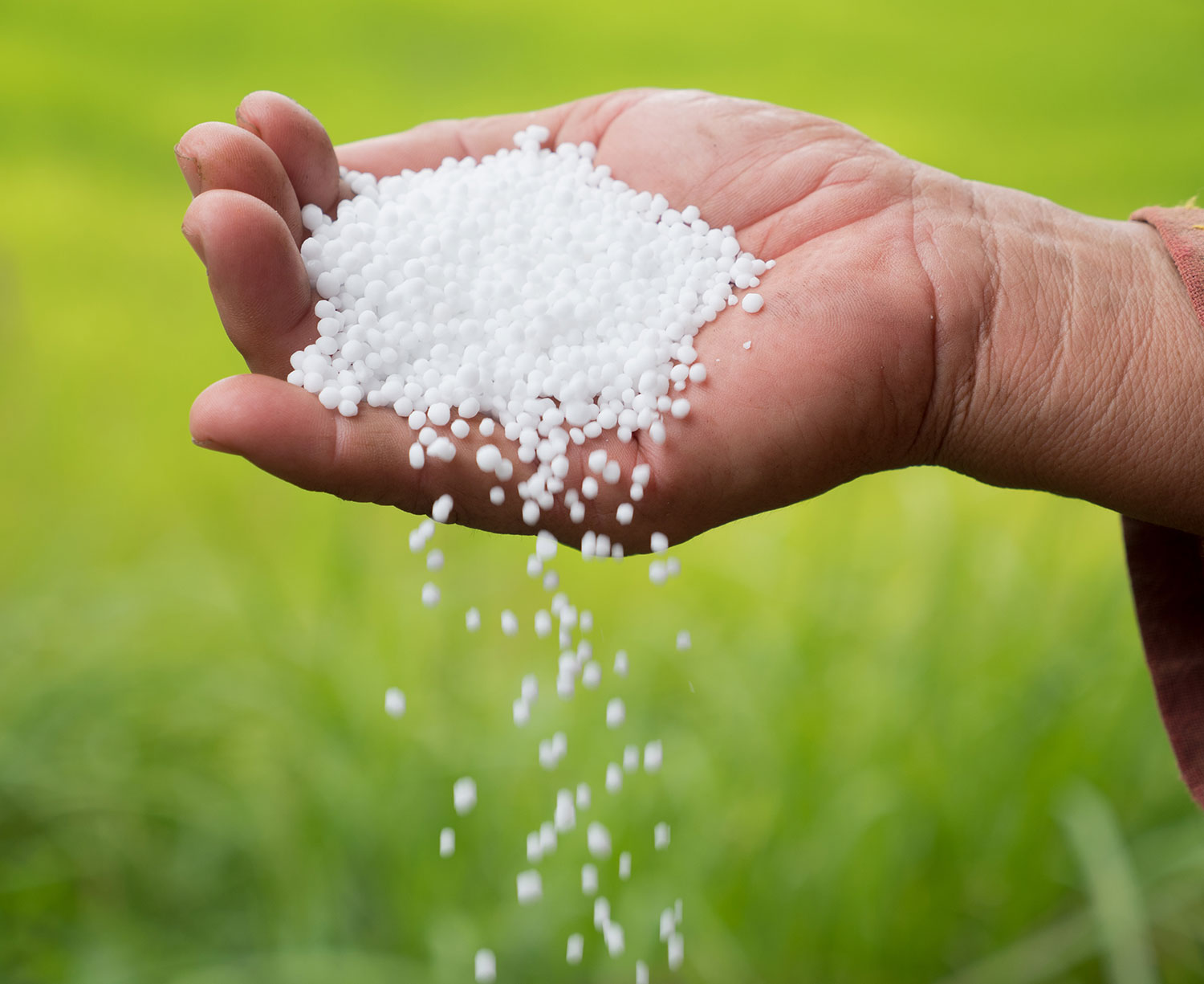 urea in fertilizer