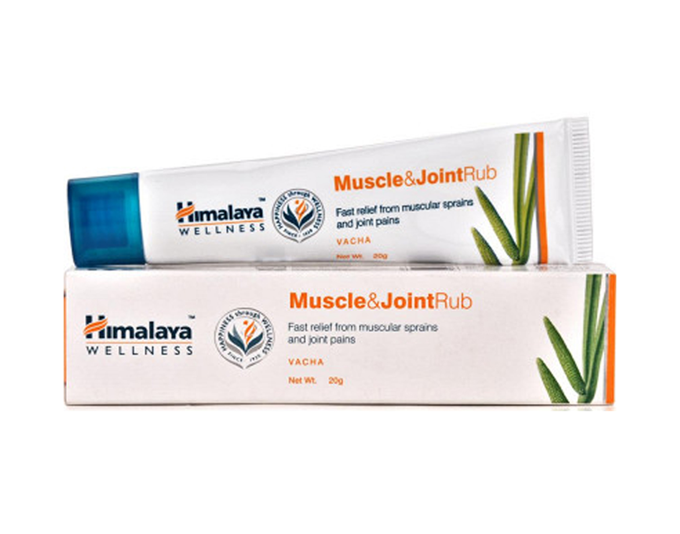 Buy Himalaya Wellness Muscle Joint Rub Fast Relief 20g Online @ ₹149 ...