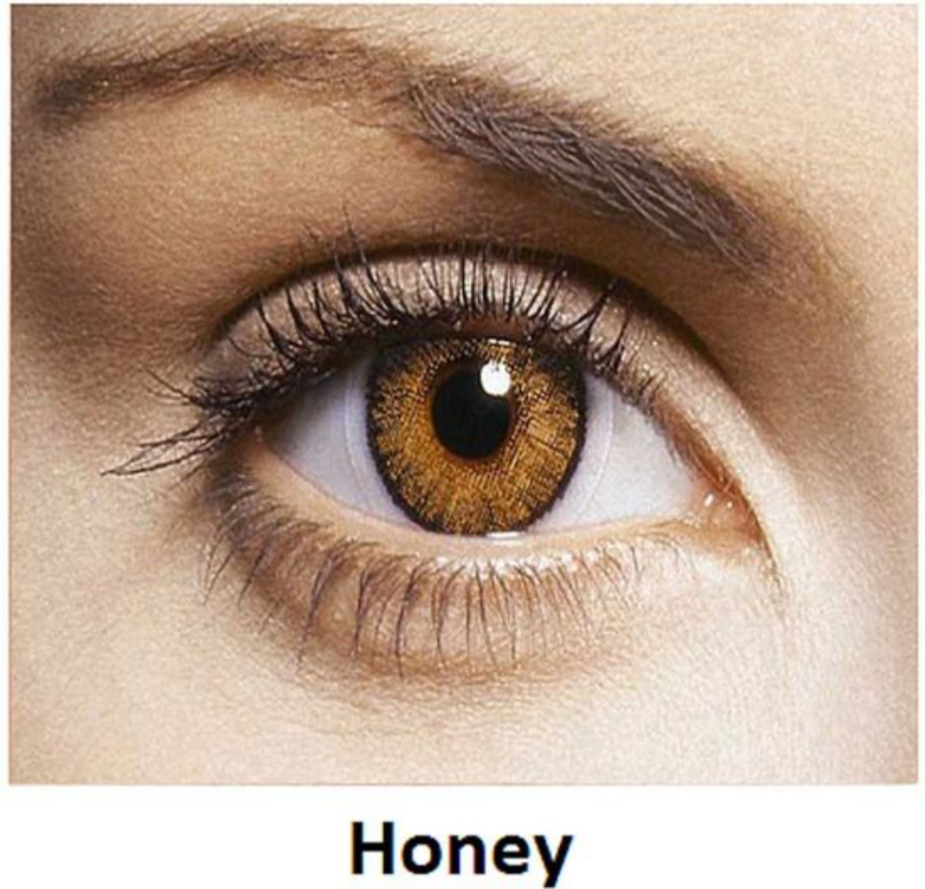 Buy I Maxx HAZEL BROWN Lens Monthly Disposable Color ZERO power Lenses
