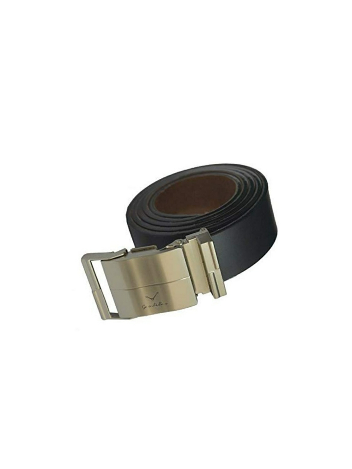 ajanta belt price