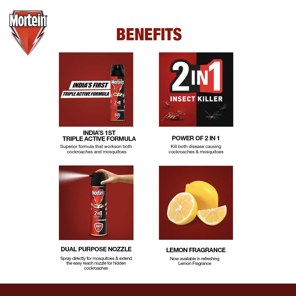 Buy Mortein Rat Kill Cake Sachet 25G + Dual All Insect Killer, 200Ml