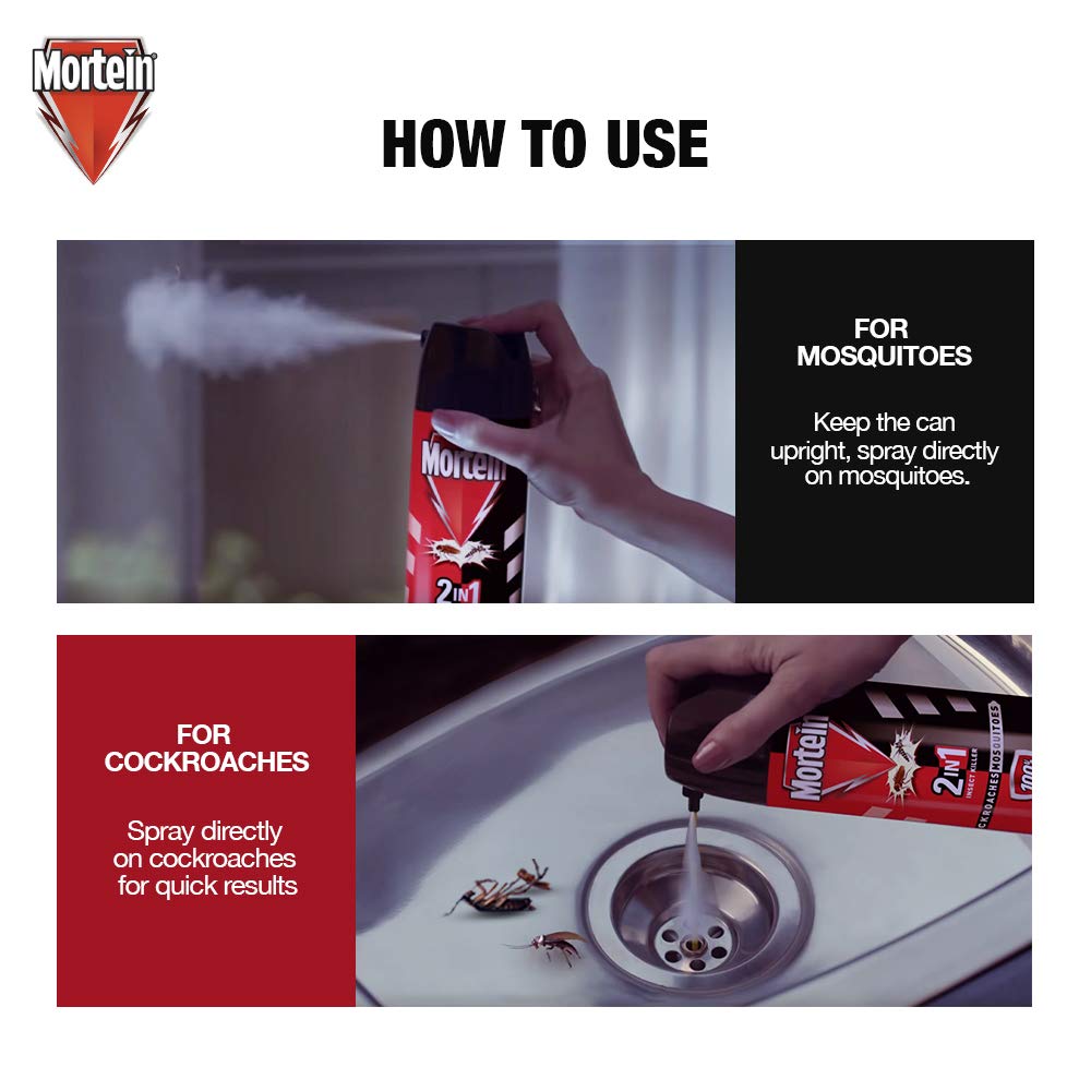 Buy Mortein Rat Kill Cake Sachet 25G + Dual All Insect Killer, 200Ml