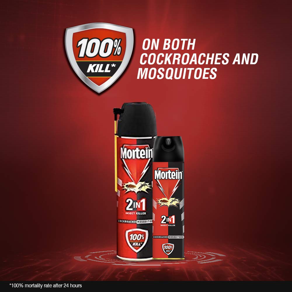 Buy Mortein Rat Kill Cake Sachet 25G + Dual All Insect Killer, 200Ml