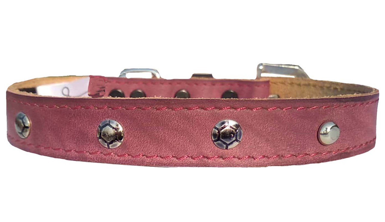 Buy Fits Dog Neck Size Medium 16 TO 19 Inches for Adjustable Dog belt