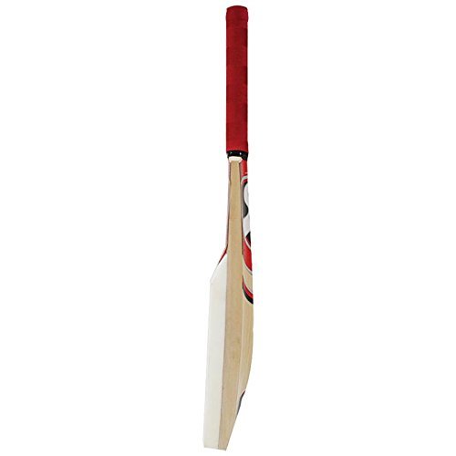 SG Catch bat Cricket Bat Genuine Kashmir Willow Leather Ball