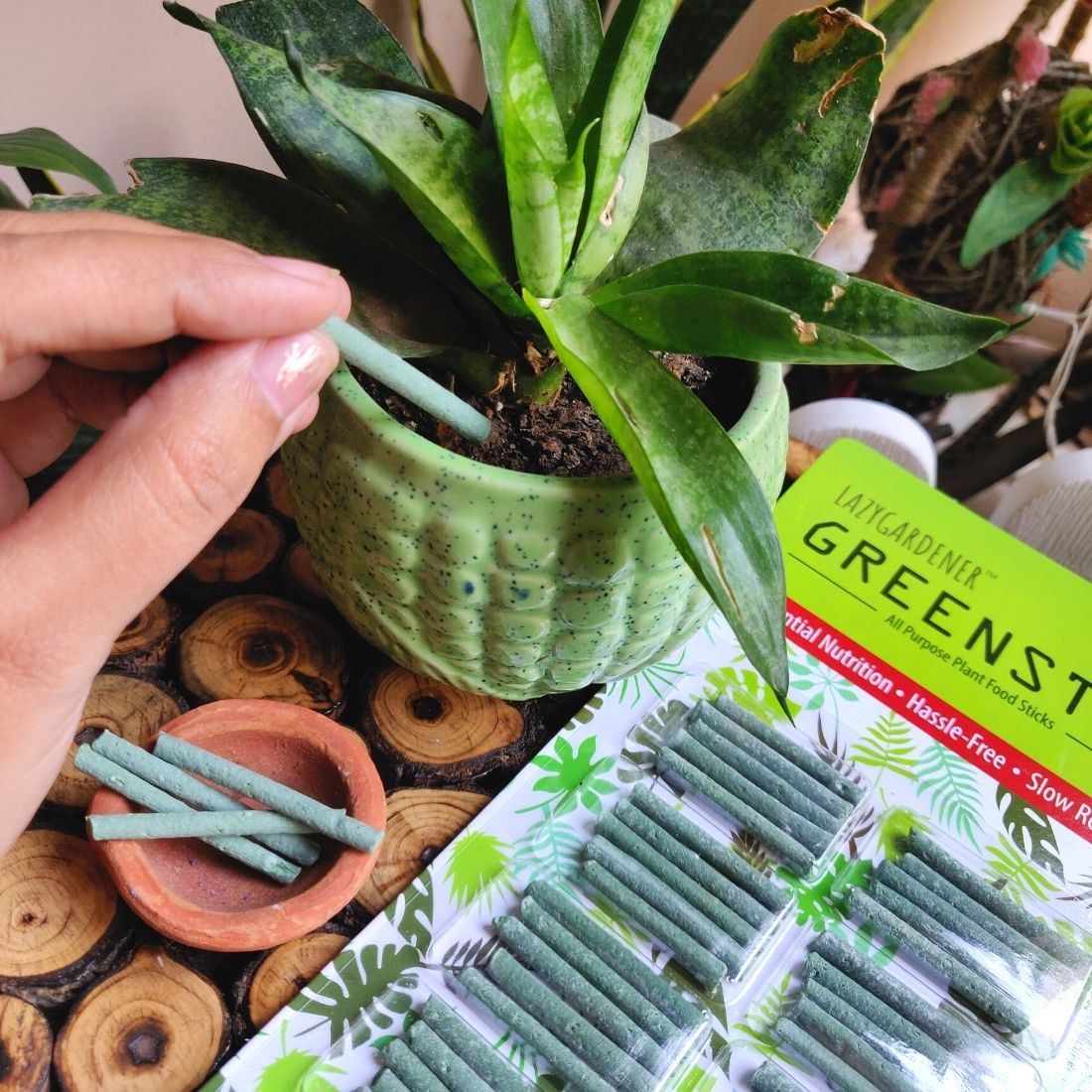 Buy Lazy Gardener GreenStix All Purpose Plant Fertilizer Sticks for