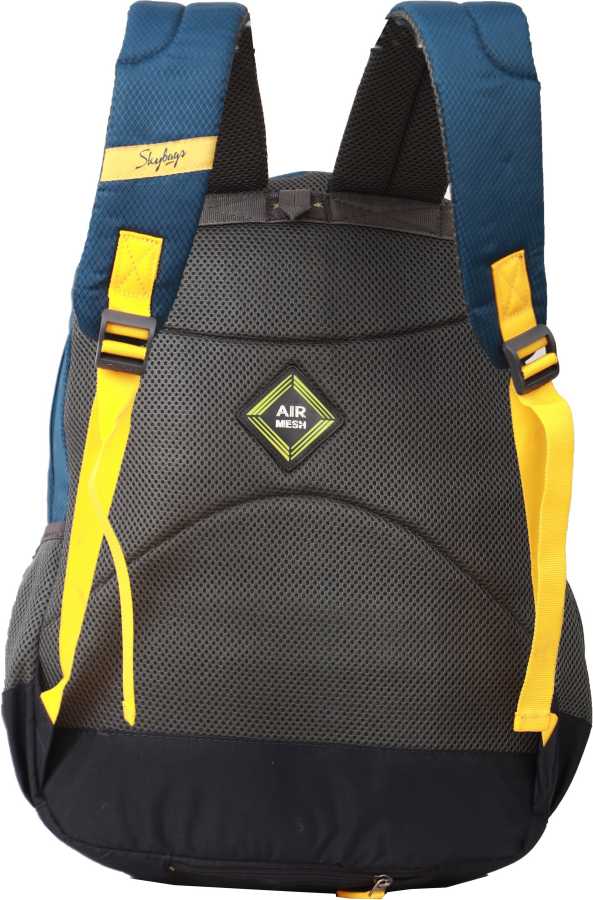 Buy Skybags Stream SBSTR1HBLU School / Laptop Backpack with Rain Cover