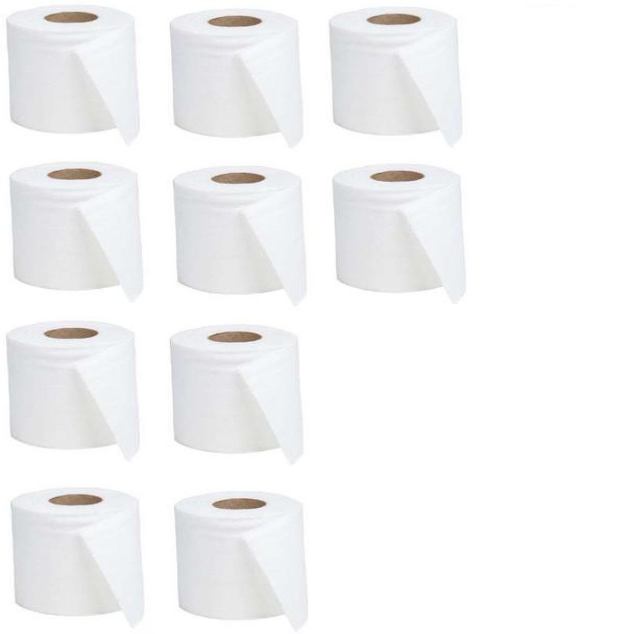 Toilet Papper Roll set of 10 pcs