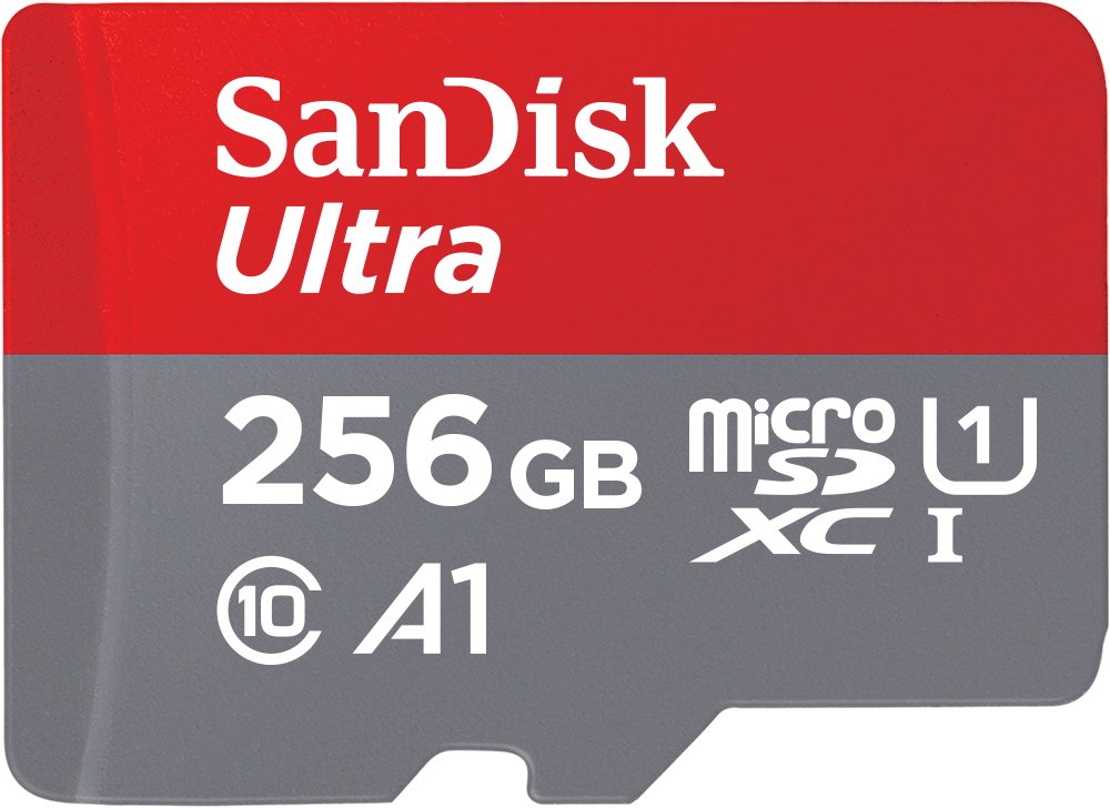 SanDisk Ultra 256 GB MicroSDXC Class 10 100 MB/s Memory Card