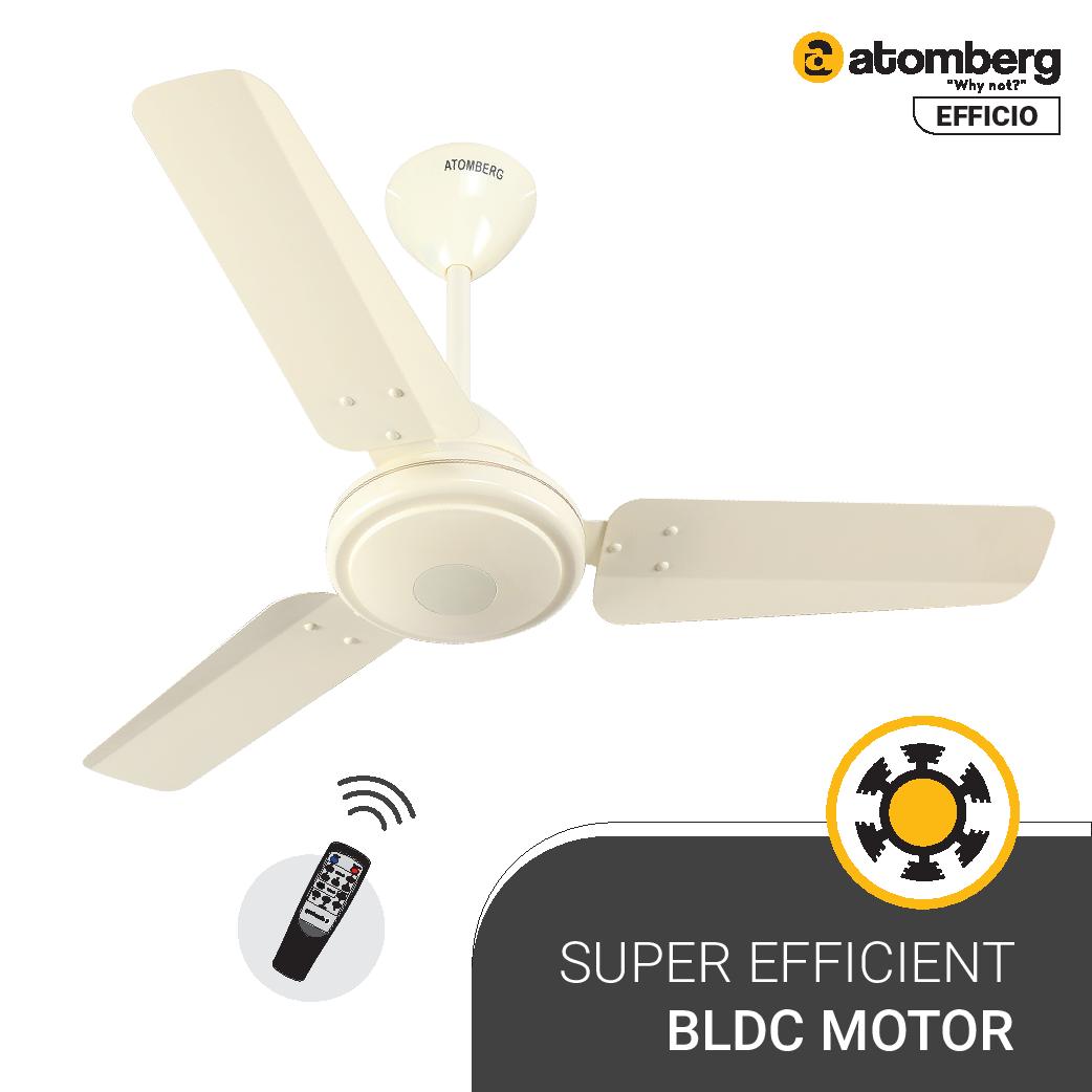 Eveready Rhombus 3 Blade Ceiling Fan Best Price in India Eveready