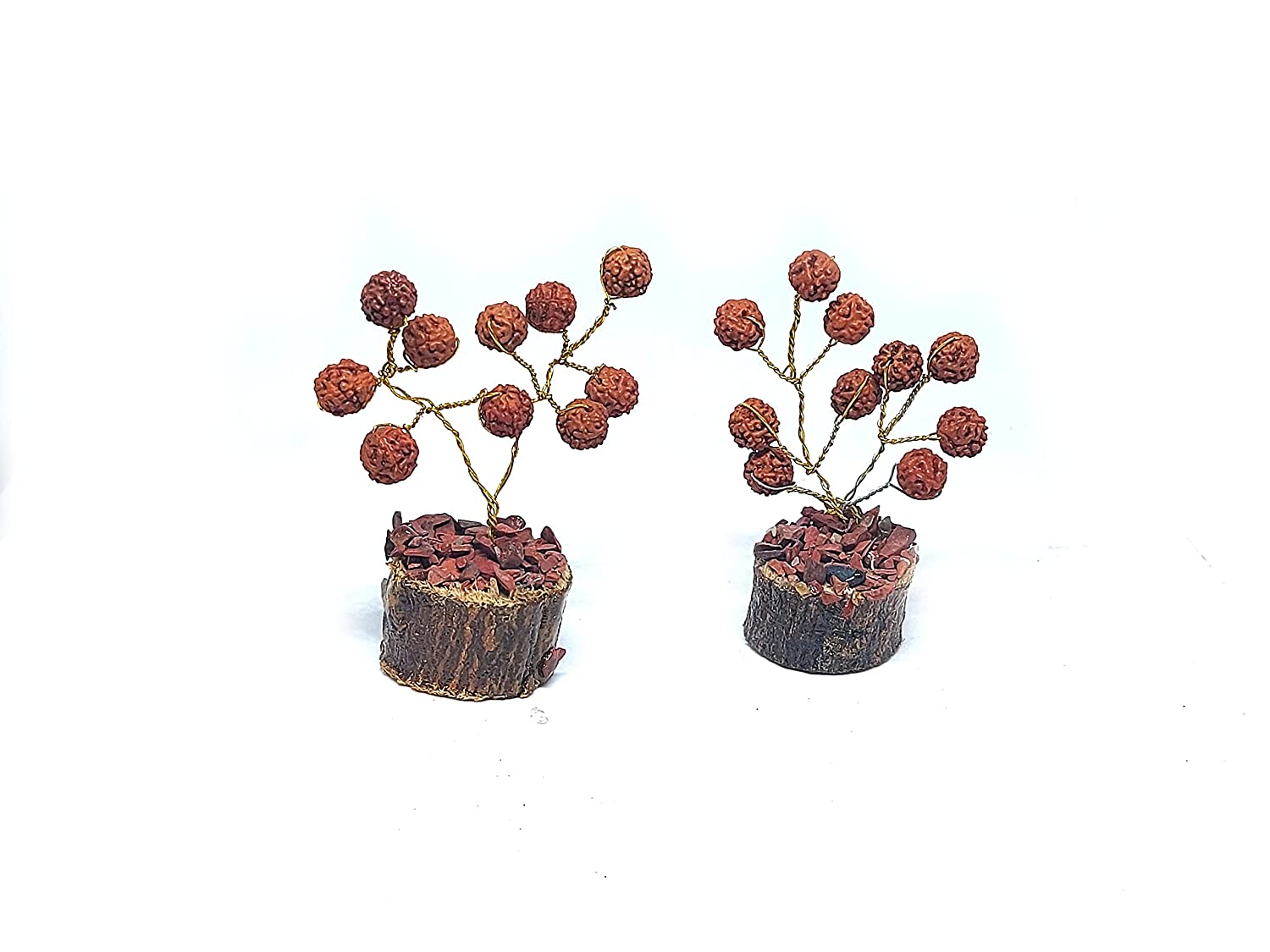 Buy Religious Rudraksha Auspicious Mini Trees Set For Puja In Home