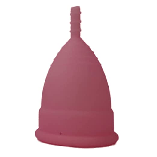 Buy FAIRBIZPS Menstrual Cup Period Cup Reusable Ultra Soft Flexible ...