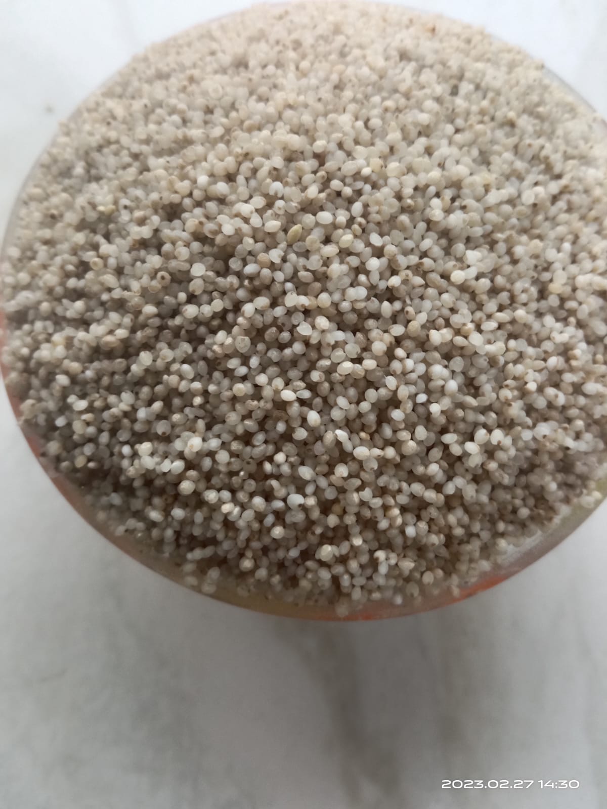 Buy Uzhavan Unavu Unpolished Samai / Moraiyo, / Kutki, / Shavan / Little Millet1kg Online Get