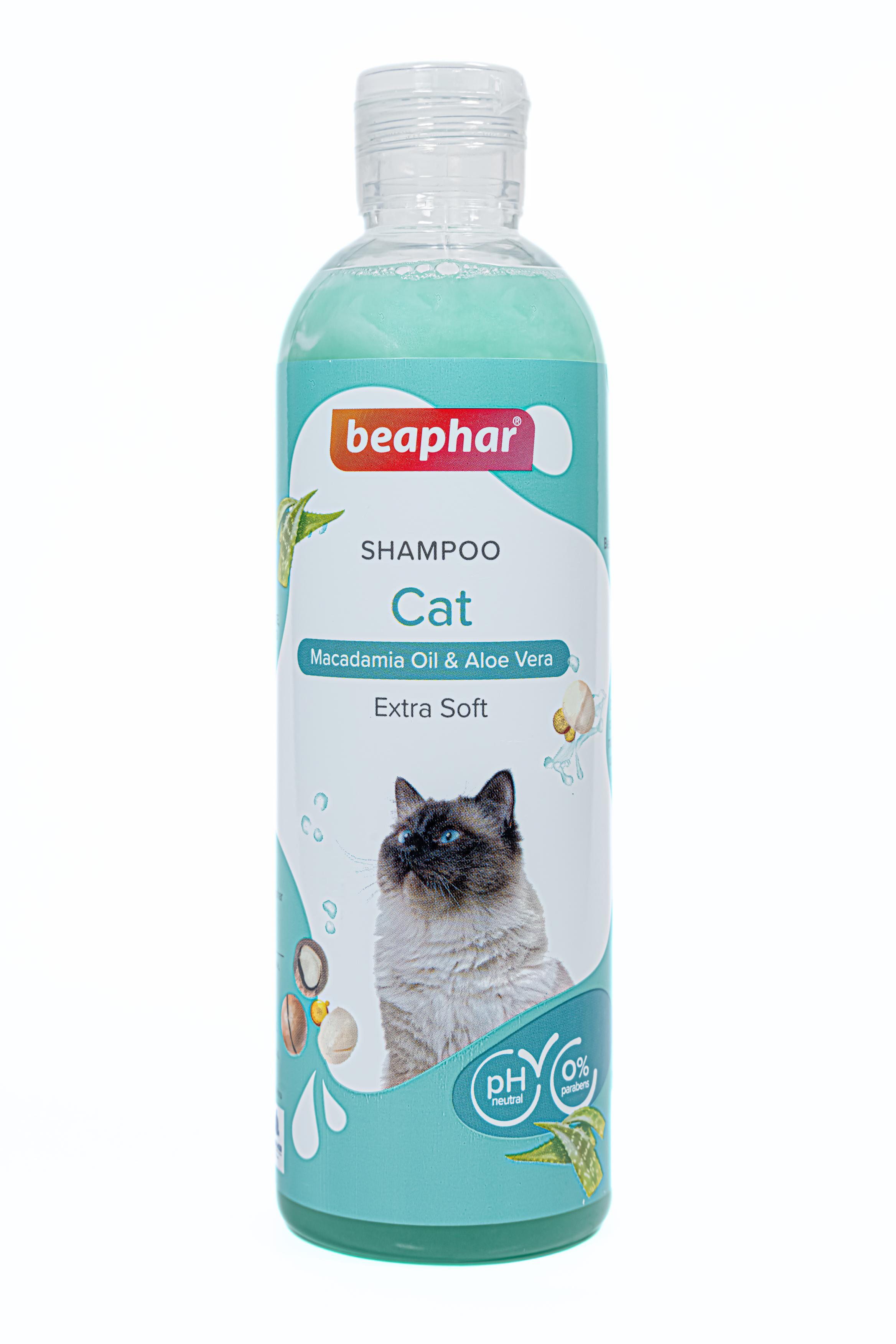 Buy Shampoo for Cat Tick and flea shampoo for cats Dryness Itch Relief ...